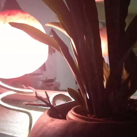 Hotel Fazenda Recanto Das Aguias Aquiraz Zewnętrze zdjęcie